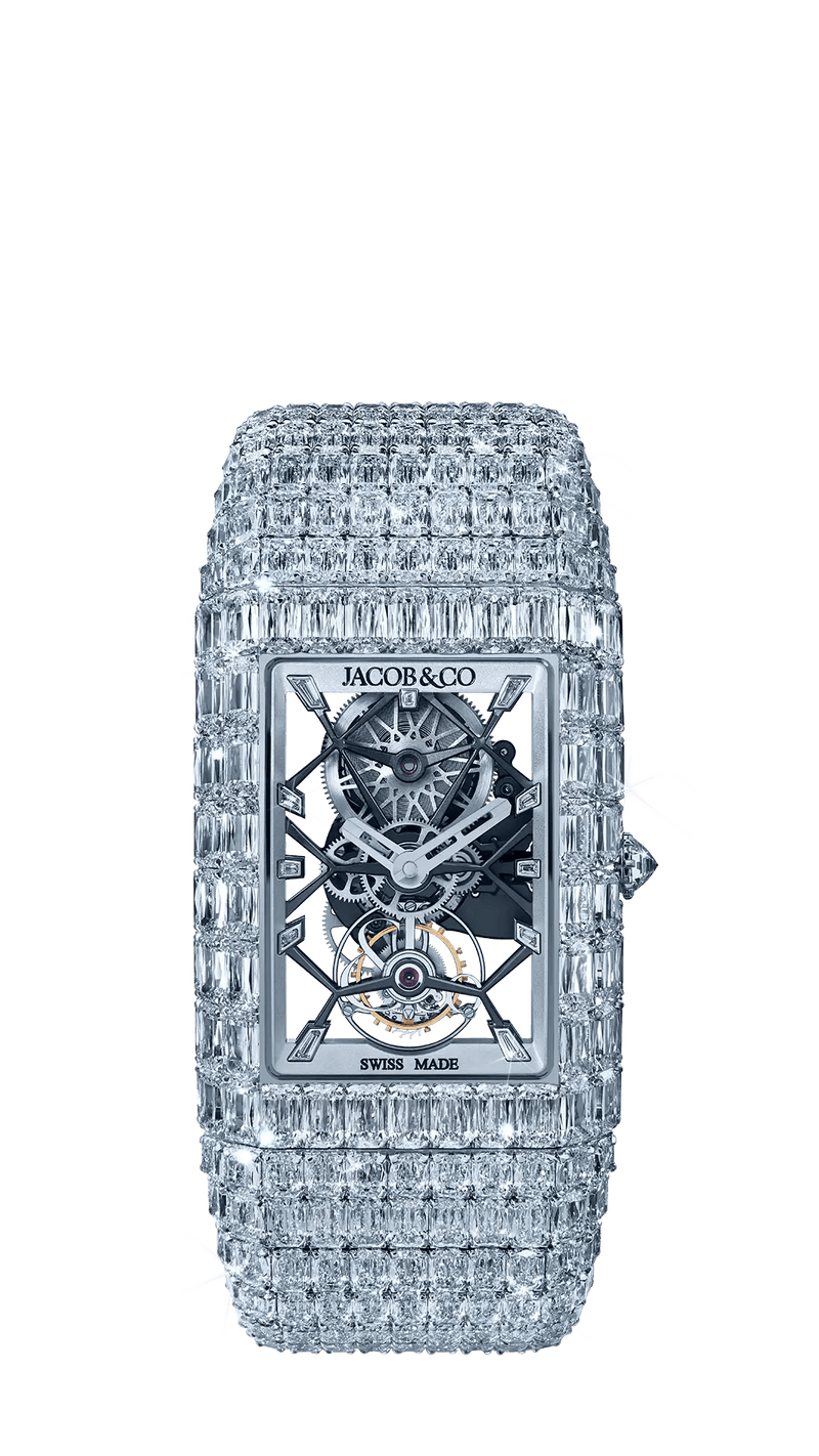 Billionaire Mini Ashoka