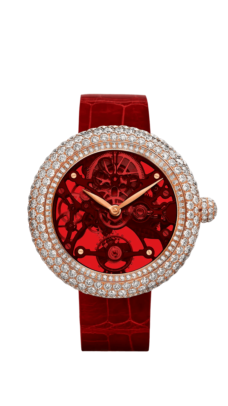 Brilliant Skeleton Northern Lights