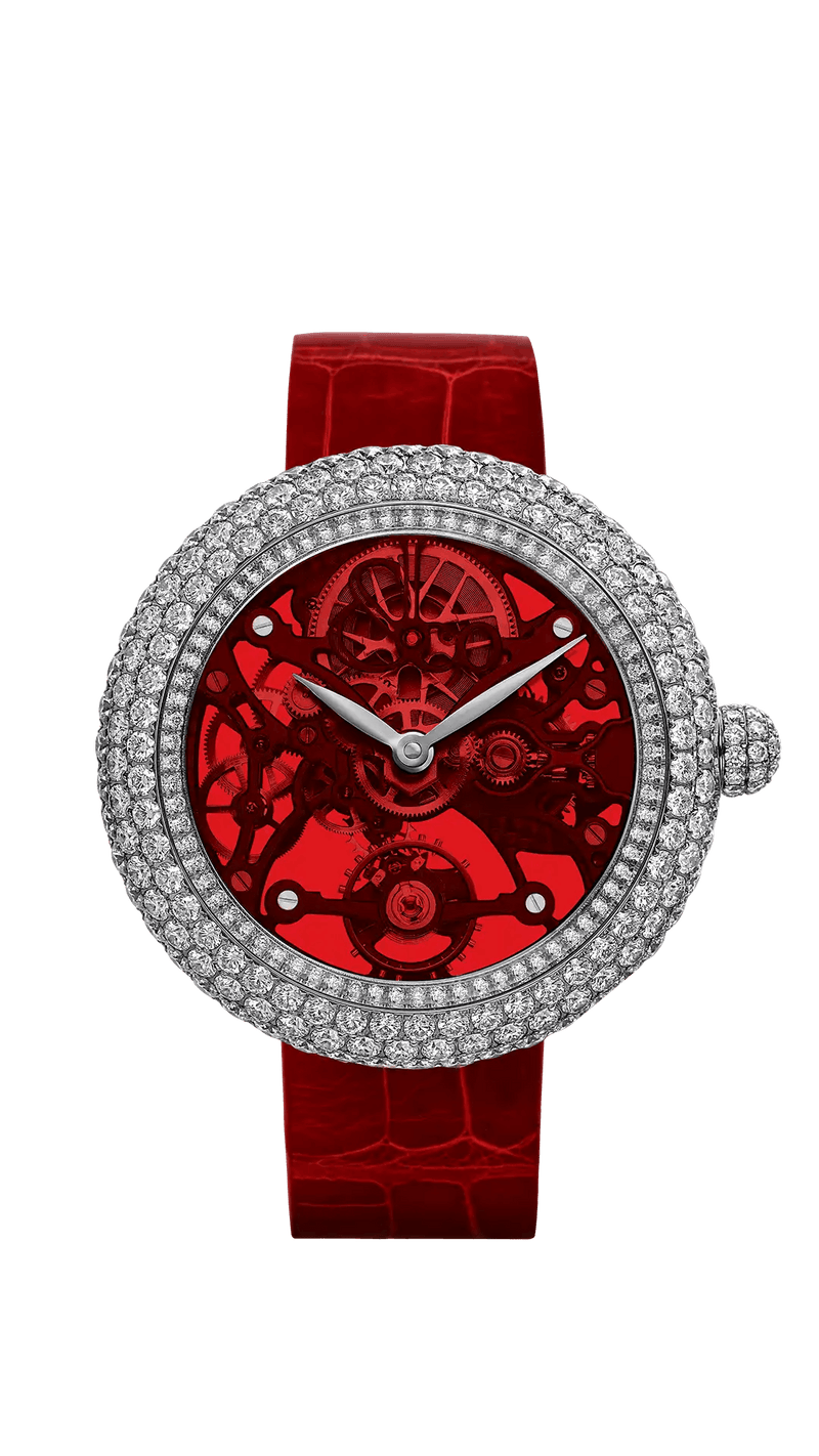 Brilliant Skeleton Northern Lights