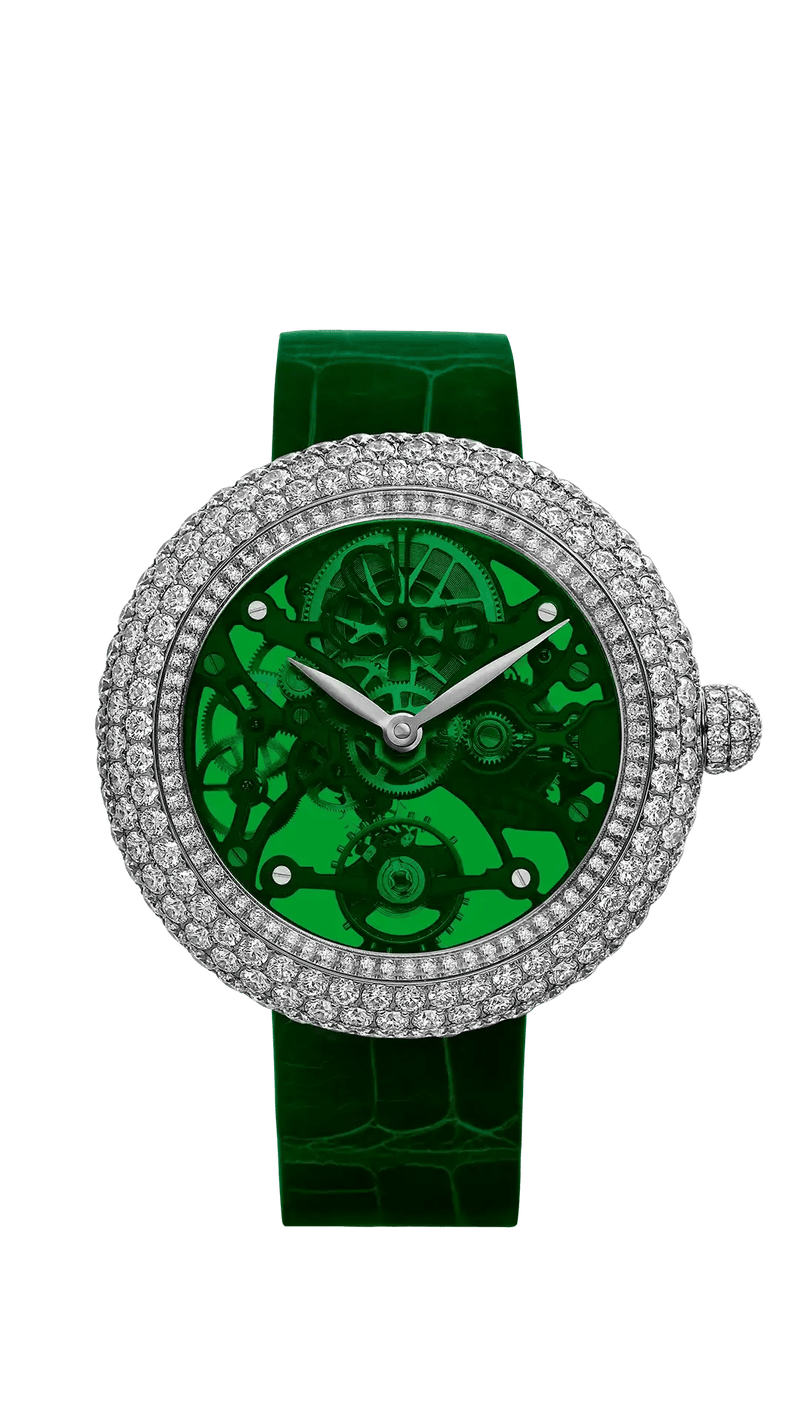 Brilliant Skeleton Northern Lights