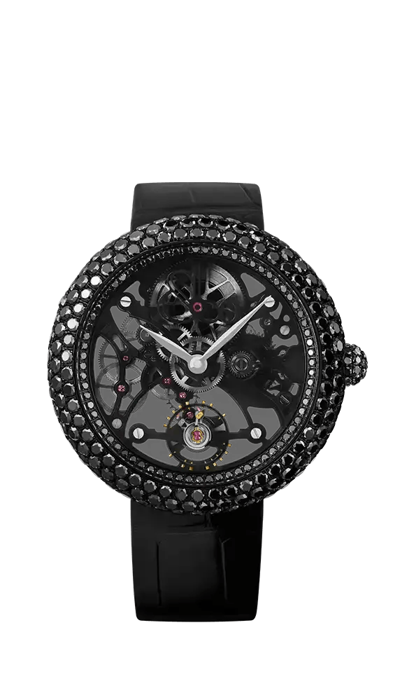 Brilliant Skeleton Northern Lights