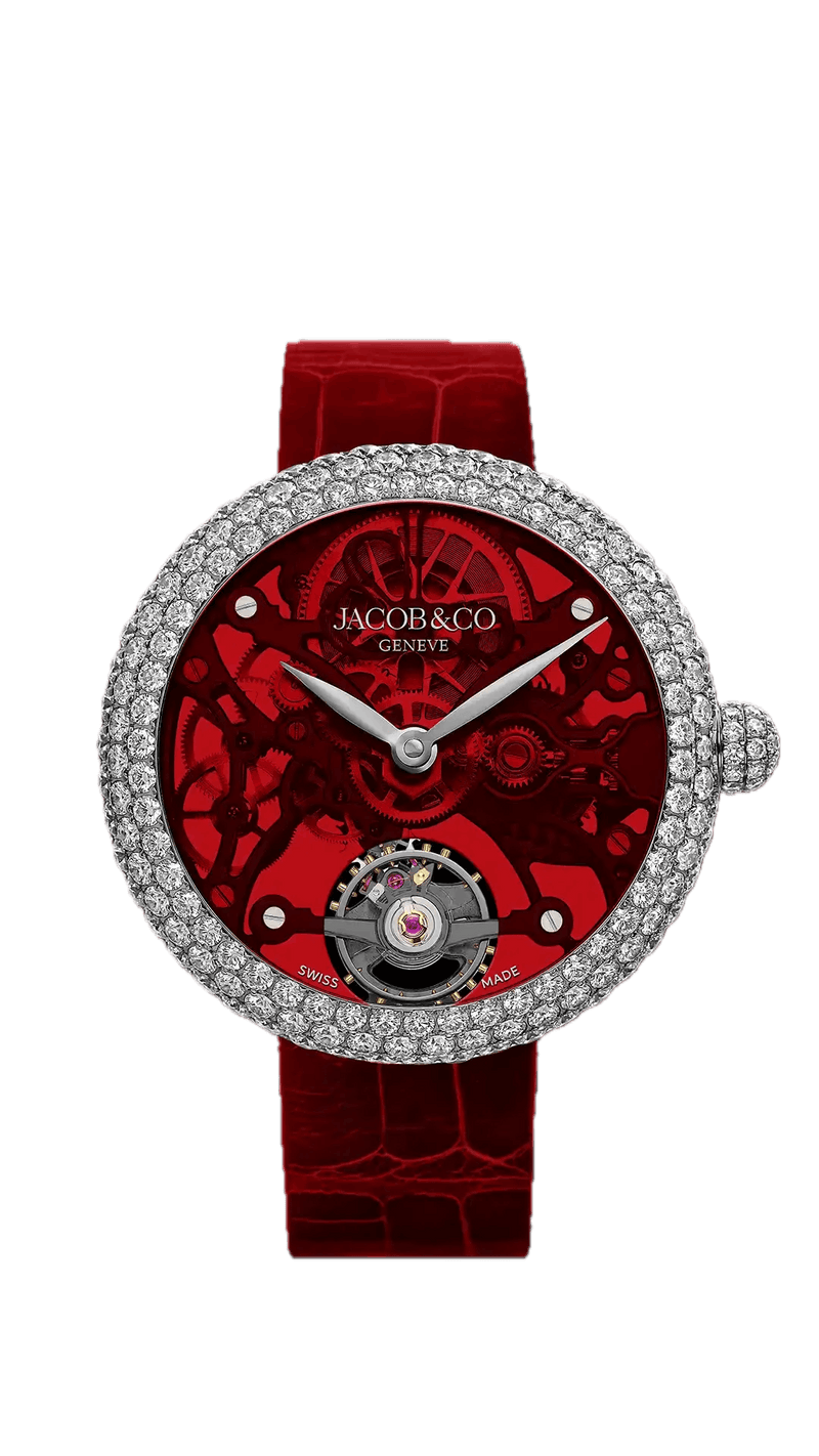 Brilliant Skeleton Northern Lights