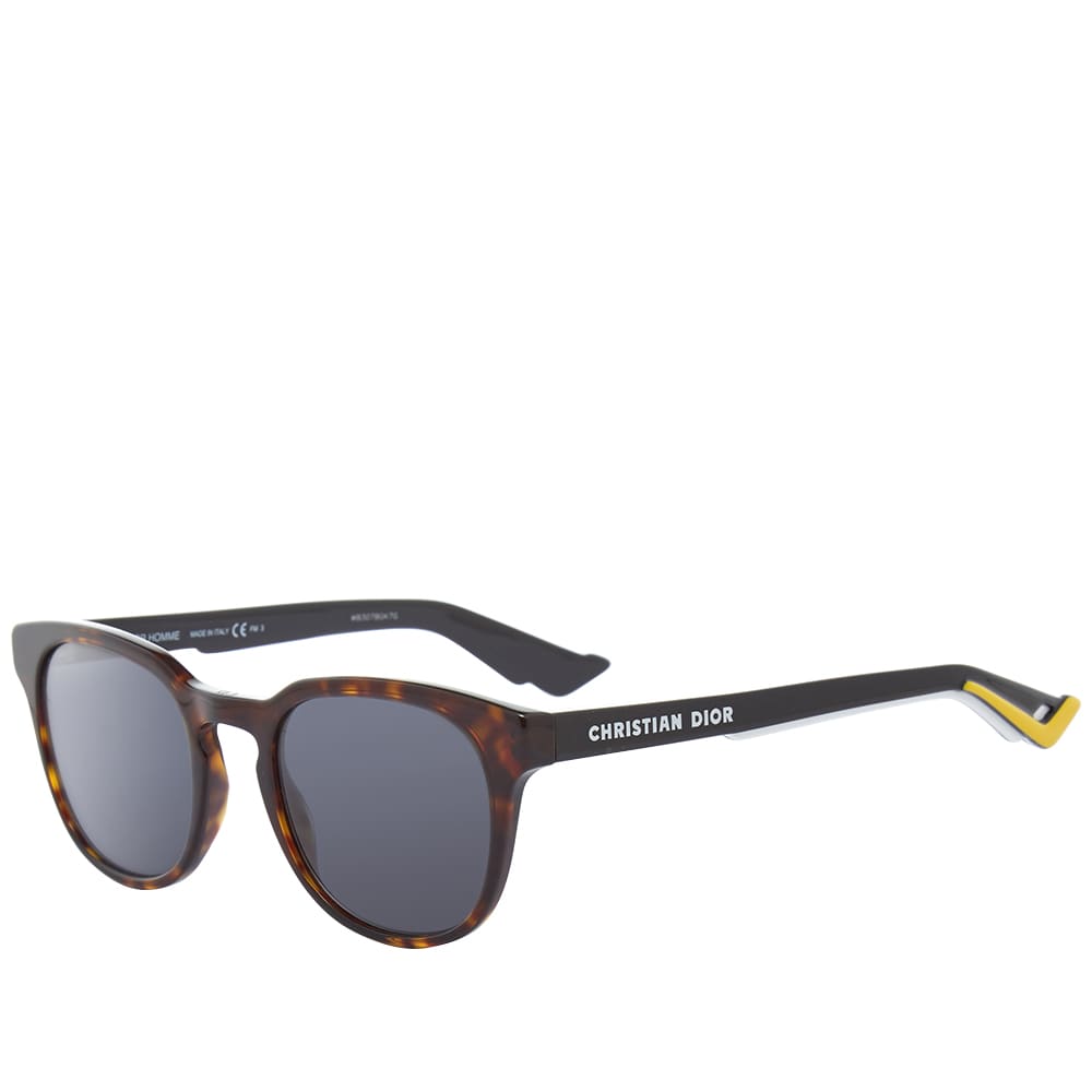 DIOR B241 Sunglasses Black  SmartBuyGlasses USA
